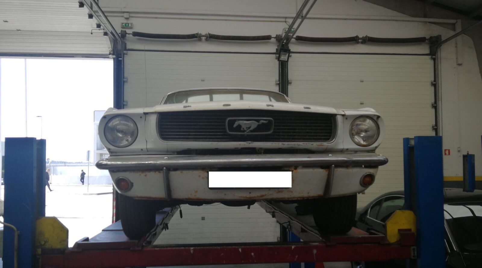 APLICACIÓN DE LÍNEA COMPLETA FORD MUSTANG